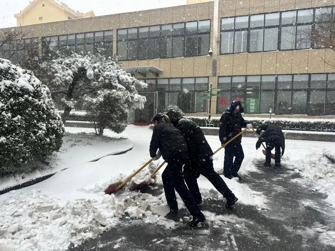 Soe vool külmalaines